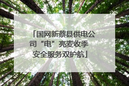 国网新蔡县供电公司“电”亮麦收季 安全服务双护航