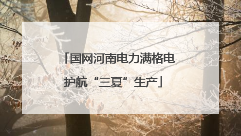 国网河南电力满格电护航“三夏”生产