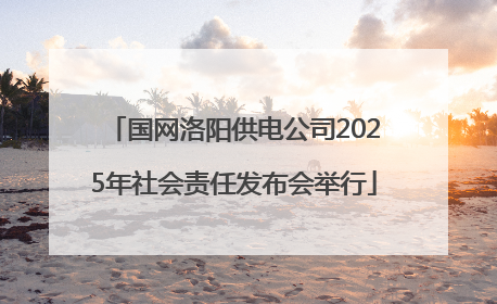 国网洛阳供电公司2025年社会责任发布会举行