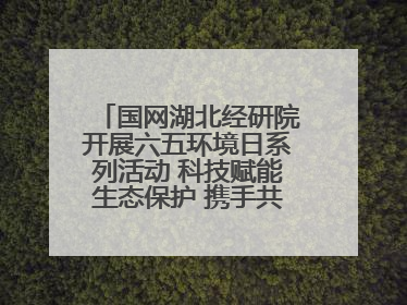 国网湖北经研院开展六五环境日系列活动 科技赋能生态保护 携手共建绿色电网