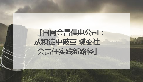 国网金昌供电公司：从积淀中破茧 蝶变社会责任实践新路径
