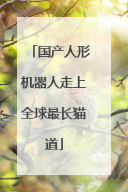 国产人形机器人走上全球最长猫道