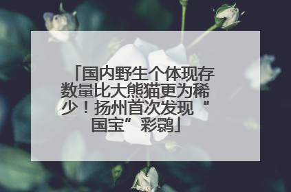 国内野生个体现存数量比大熊猫更为稀少！扬州首次发现“国宝”彩鹮