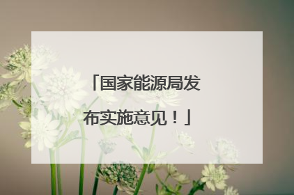 国家能源局发布实施意见！