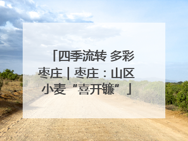 四季流转 多彩枣庄｜枣庄：山区小麦“喜开镰”