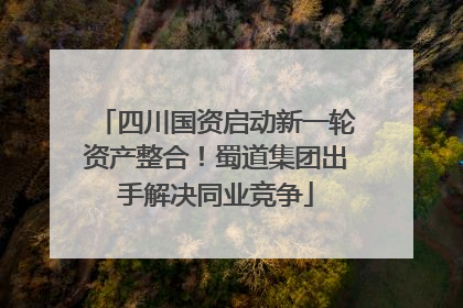 四川国资启动新一轮资产整合！蜀道集团出手解决同业竞争