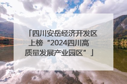 四川安岳经济开发区上榜“2024四川高质量发展产业园区”