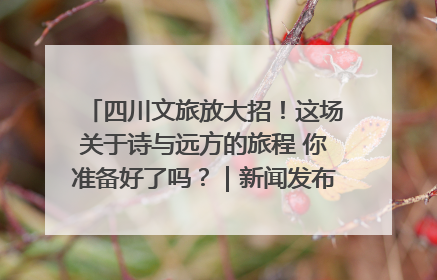 四川文旅放大招！这场关于诗与远方的旅程 你准备好了吗？｜新闻发布最前线·深一度