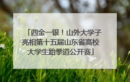 四金一银！山外大学子亮相第十五届山东省高校大学生跆拳道公开赛
