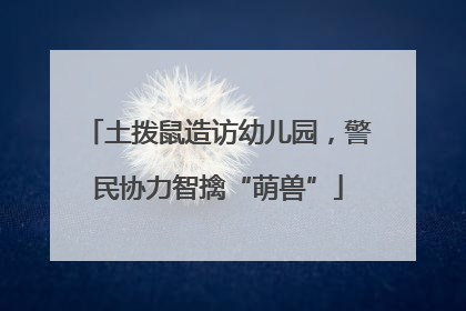 土拨鼠造访幼儿园，警民协力智擒“萌兽”