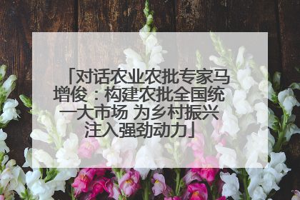 对话农业农批专家马增俊：构建农批全国统一大市场 为乡村振兴注入强劲动力