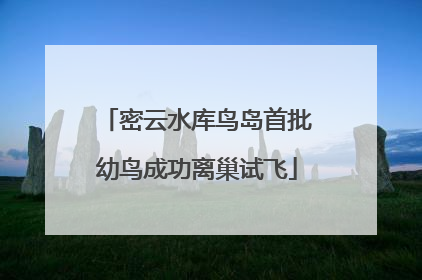 密云水库鸟岛首批幼鸟成功离巢试飞