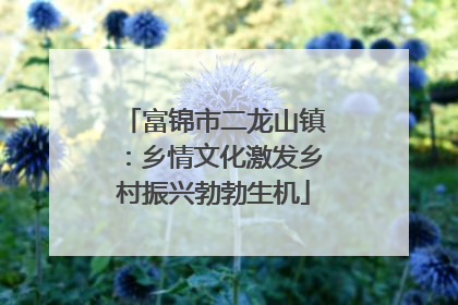 富锦市二龙山镇：乡情文化激发乡村振兴勃勃生机