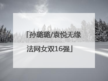 孙璐璐/袁悦无缘法网女双16强