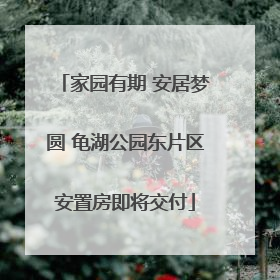 家园有期 安居梦圆 龟湖公园东片区安置房即将交付