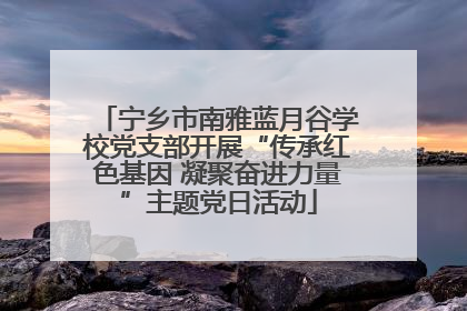 宁乡市南雅蓝月谷学校党支部开展“传承红色基因 凝聚奋进力量”主题党日活动