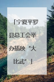 宁夏平罗县总工会举办插秧“大比武”