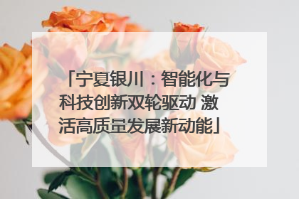 宁夏银川：智能化与科技创新双轮驱动 激活高质量发展新动能