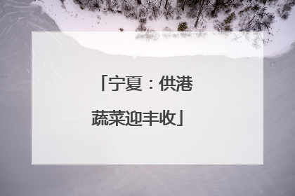 宁夏：供港蔬菜迎丰收