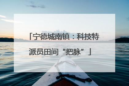 宁德城南镇：科技特派员田间“把脉”