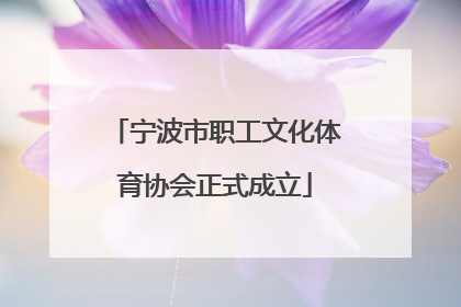 宁波市职工文化体育协会正式成立