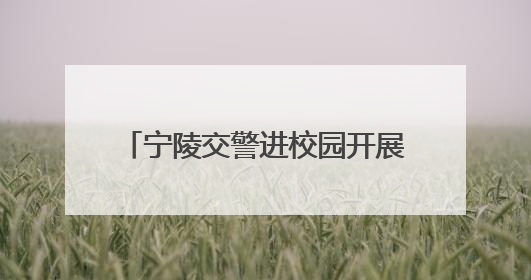 宁陵交警进校园开展交通安全宣传活动