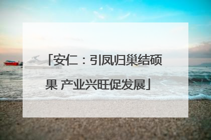 安仁：引凤归巢结硕果 产业兴旺促发展
