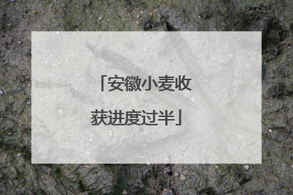 安徽小麦收获进度过半