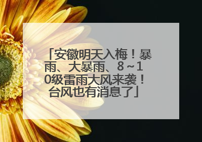 安徽明天入梅！暴雨、大暴雨、8～10级雷雨大风来袭！台风也有消息了