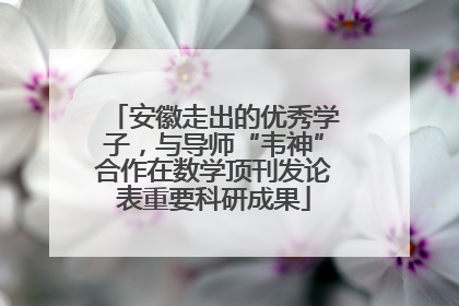 安徽走出的优秀学子，与导师“韦神”合作在数学顶刊发论表重要科研成果
