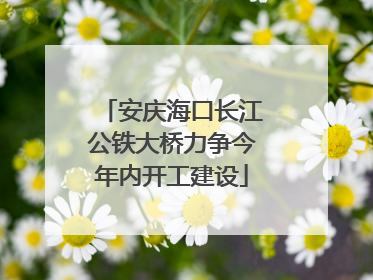 安庆海口长江公铁大桥力争今年内开工建设