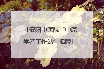 安阳中医院“中原学者工作站”揭牌