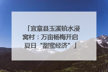 宜章县玉溪镇水浸窝村：万亩杨梅开启夏日“甜蜜经济”