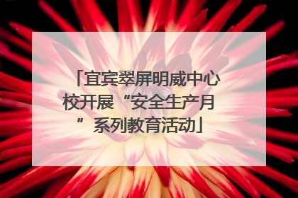 宜宾翠屏明威中心校开展“安全生产月”系列教育活动
