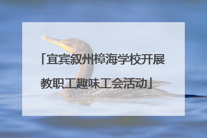 宜宾叙州樟海学校开展教职工趣味工会活动