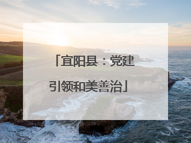 宜阳县：党建引领和美善治