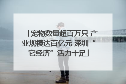 宠物数量超百万只 产业规模达百亿元 深圳“它经济”活力十足
