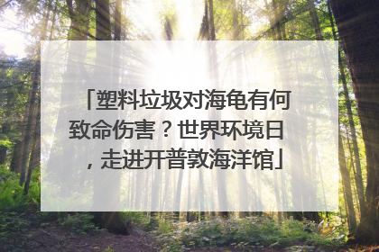 塑料垃圾对海龟有何致命伤害？世界环境日，走进开普敦海洋馆