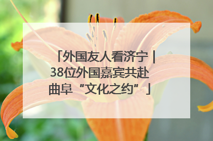 外国友人看济宁｜38位外国嘉宾共赴曲阜“文化之约”
