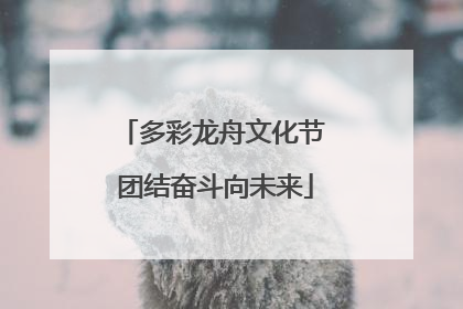 多彩龙舟文化节 团结奋斗向未来