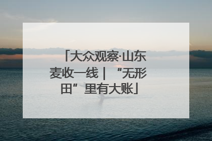 大众观察·山东麦收一线｜“无形田”里有大账