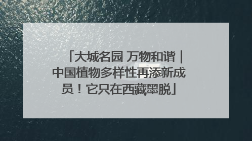 大城名园 万物和谐｜中国植物多样性再添新成员！它只在西藏墨脱