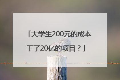 大学生200元的成本干了20亿的项目？