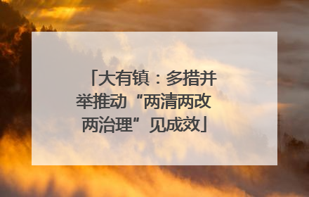 大有镇：多措并举推动“两清两改两治理”见成效