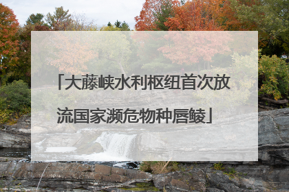 大藤峡水利枢纽首次放流国家濒危物种唇鲮