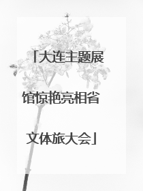 大连主题展馆惊艳亮相省文体旅大会