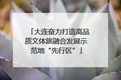 大连奋力打造高品质文体旅融合发展示范地“先行区”