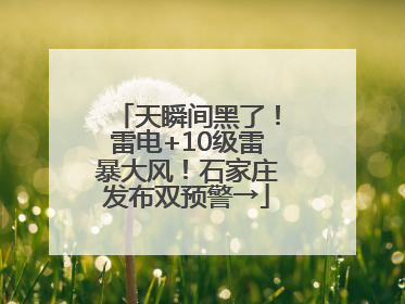 天瞬间黑了！雷电+10级雷暴大风！石家庄发布双预警→