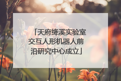 天府绛溪实验室交互人形机器人前沿研究中心成立