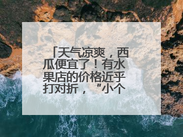 天气凉爽，西瓜便宜了！有水果店的价格近乎打对折，“小个子”的特小凤、小糖丸更好卖